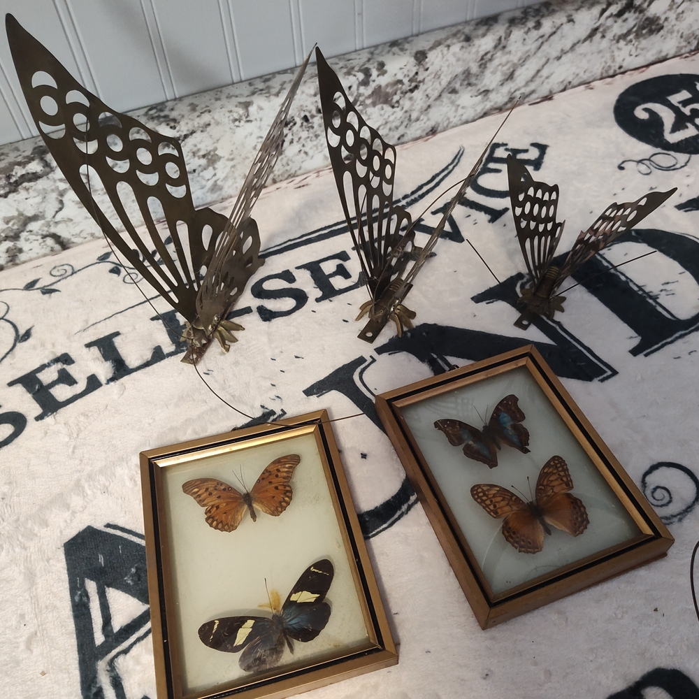Set of 3 Metal Butterflies 3D Wall Mounted Butterfly. Set Of 2 Framed Displays.